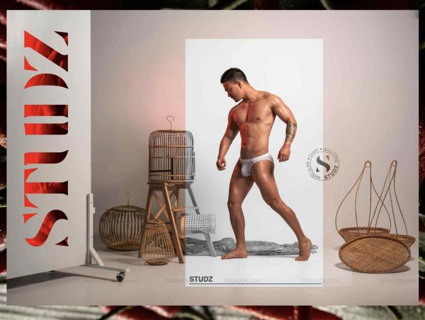 STUDZ-01--Zesty--Ebook--Video-